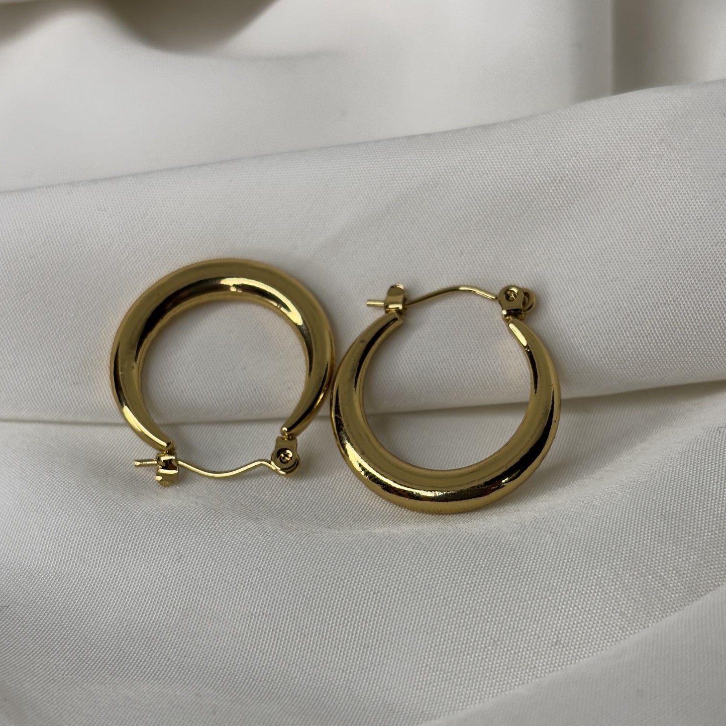 Anna Hoops